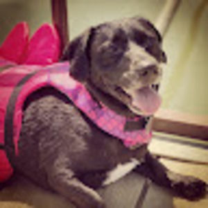 Meet your Posher, Blaire